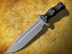 Busse Team Gemini Reviews