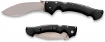 Cold Steel Rajah II Reviews